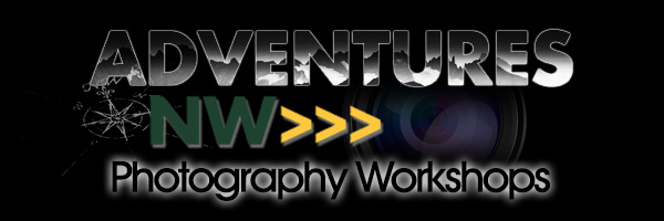 ANWPhotoWorkshops-600